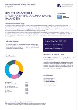 True Potential Goldman Sachs Balanced Factsheet