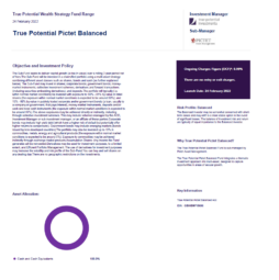 True Potential Pictet Balanced Factsheet