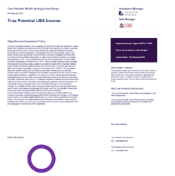 True Potential UBS Income Factsheet